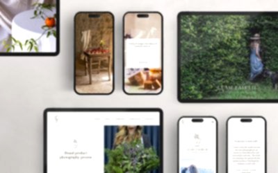 Our most frequently Asked brand & Web design questions